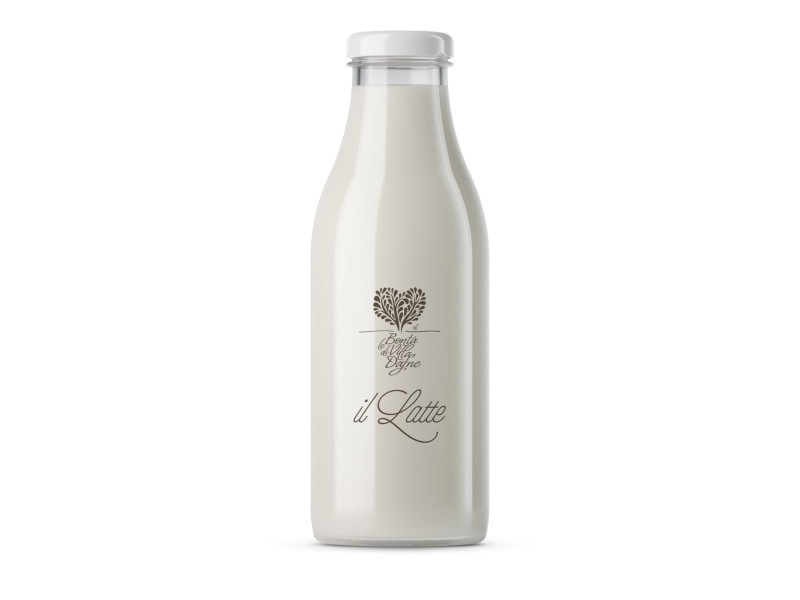 High quality pasteurized whole fresh milk